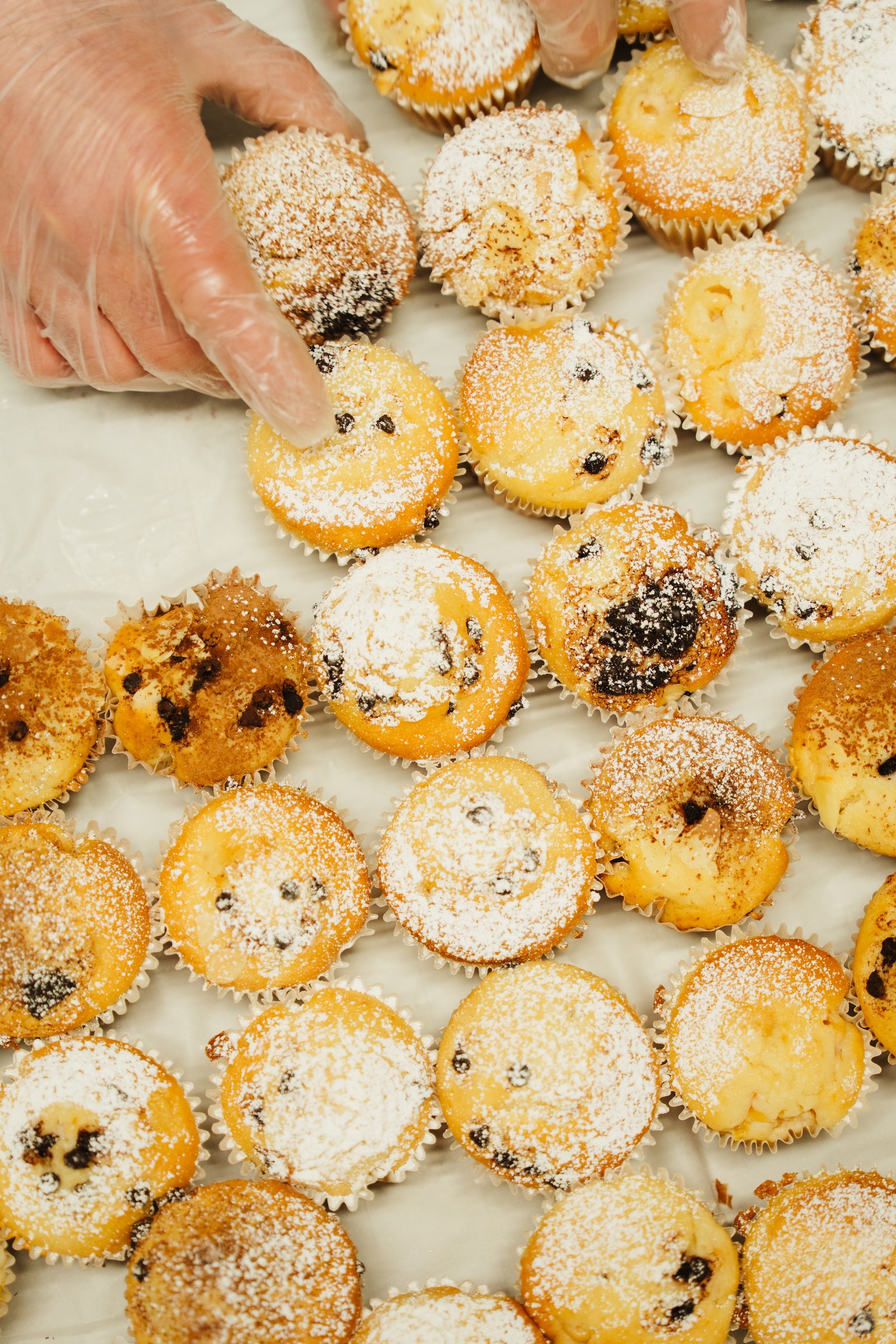 Tray of freshly baked mini pastries dusted with icing sugar